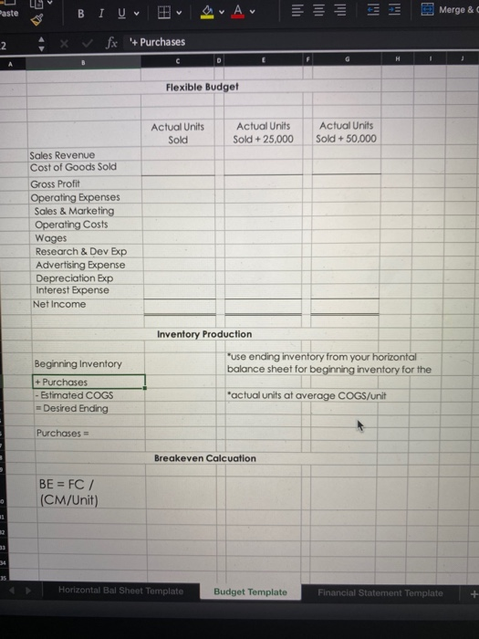 1. Complete the Horizontal Balance Sheet (excel file available in Canvas) by