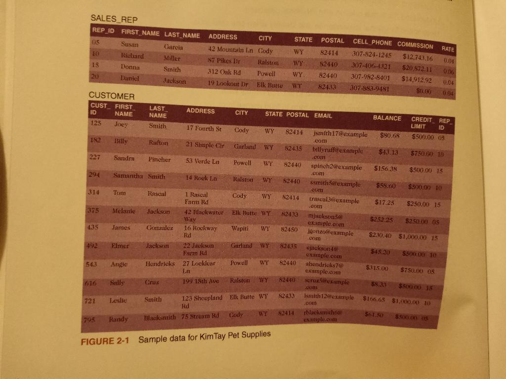 REP table. 2. Add the following row to the REP table: rep