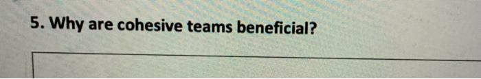 5. Why are cohesive teams beneficial