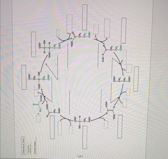 8 reactions with the reactants and products (you will need to recognize