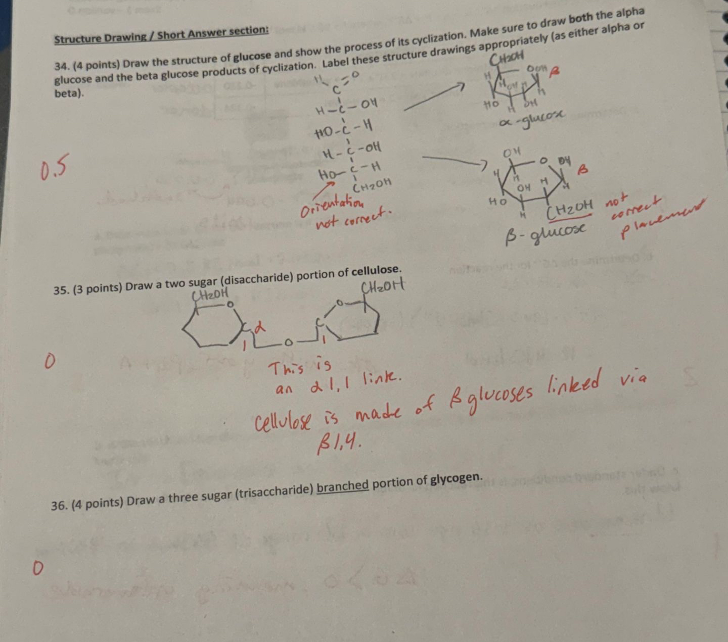  Structure Drawing / Short Answer section: 34.(4 points) Draw the structure
