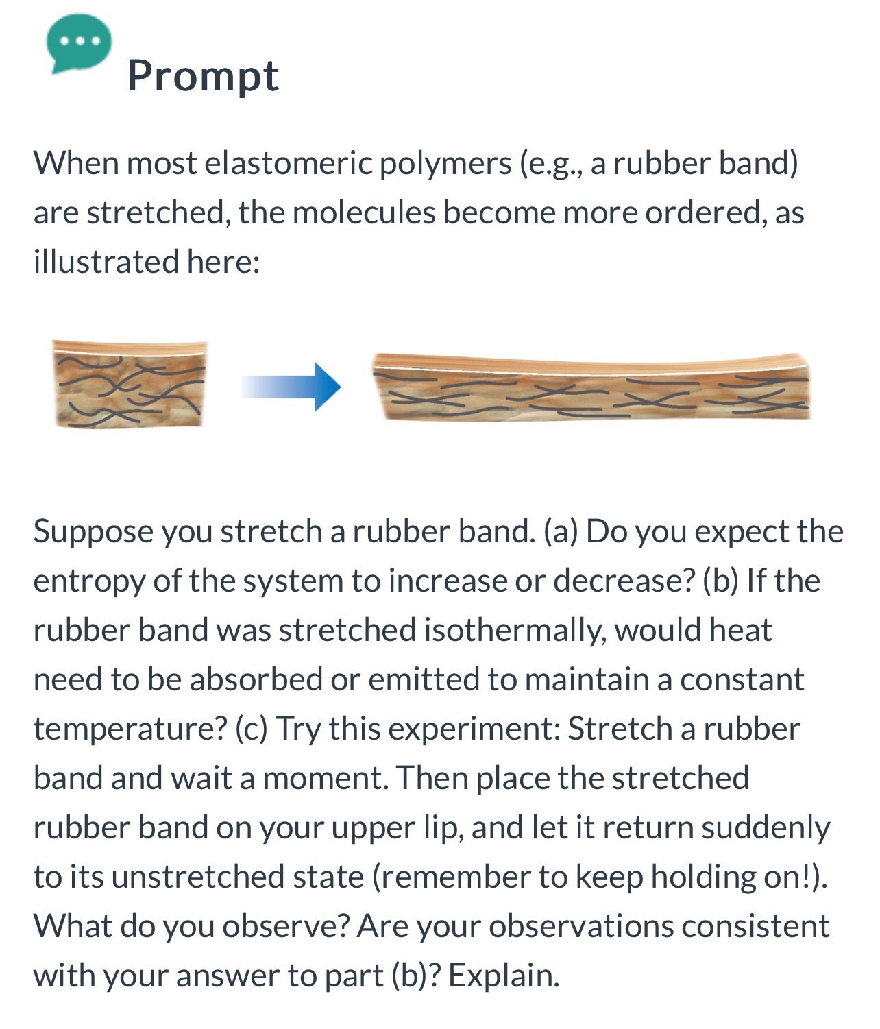 Prompt When most elastomeric polymers (e.g., a rubber band) are stretched,