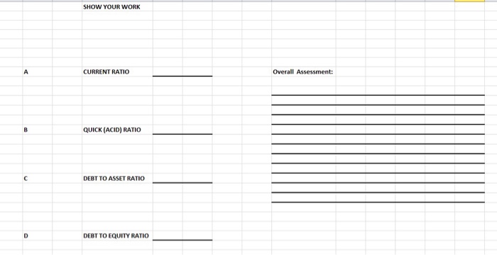 to Asset Ratio d. Debt to Equity Ratio Based upon your accounting