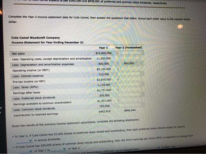 also known as a profit and loss (P&L) statement, provides a snapshot