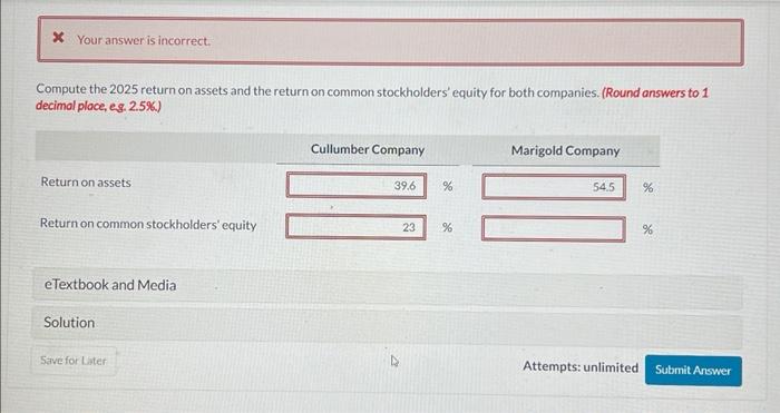  Compute the 2025 return on assets and the return on common