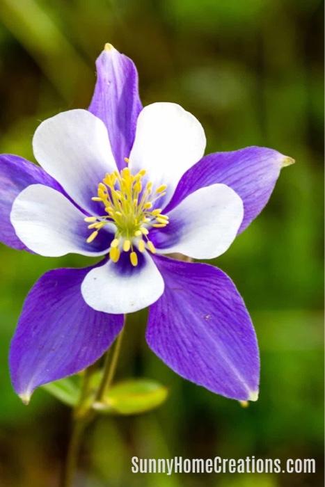 - A navigation element which includes a list of links to all