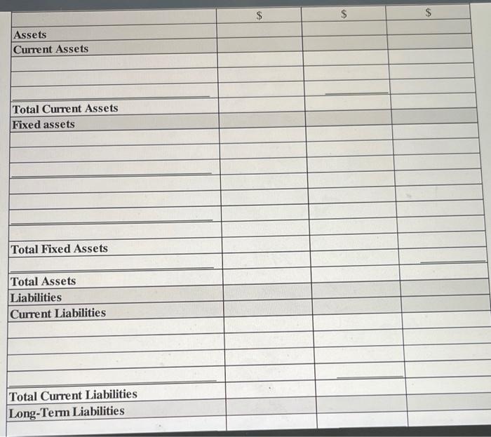 the financial data provided below, prepare an income statement and balance sheet