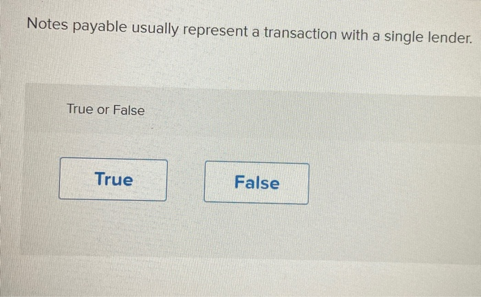  Notes payable usually represent a transaction with a single lender. True