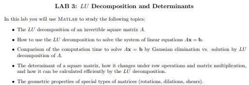 Matlab (Linear algebra) LAB 3: LU Decomposition and Determinants In this lab