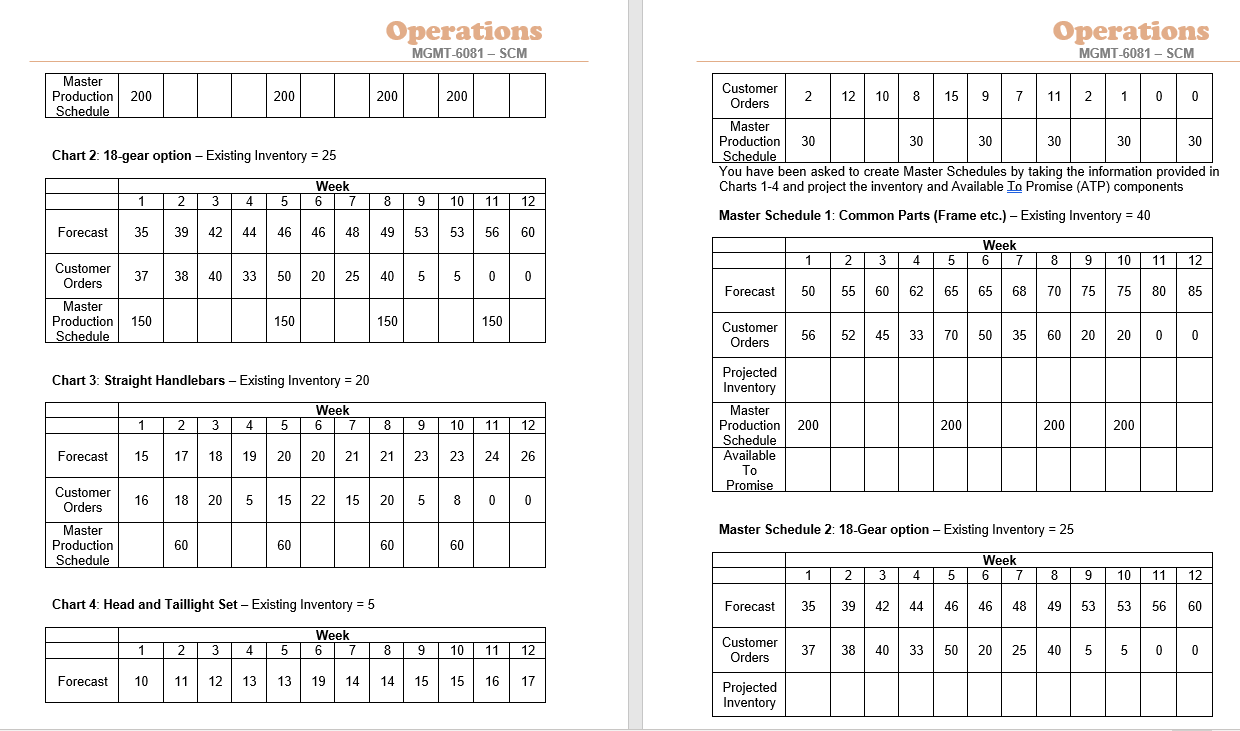 External Analysis Alternative Courses of Action Advantages Disadvantages Recommendation and Plan of