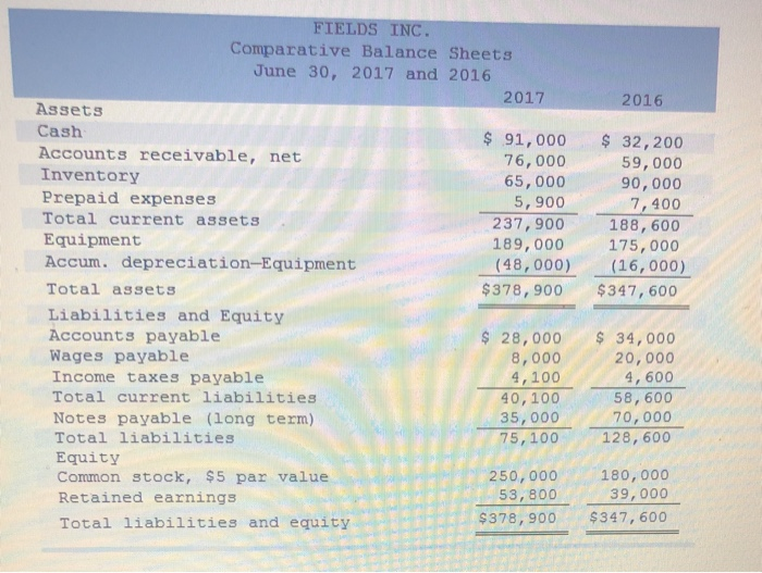  FIELDS INC Comparative Balance Sheets June 30, 2017 and 2016 2017