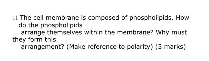 I need help ASAP 11 The cell membrane is composed of phospholipids.