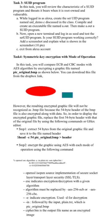 root-owned and vulnerable. a. While logged in as alexa, create the set
