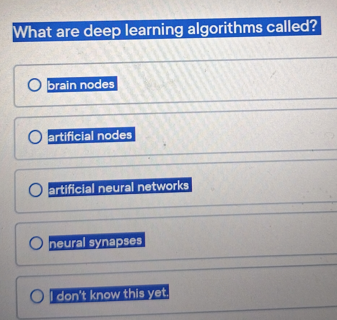  What are deep learning algorithms called? 