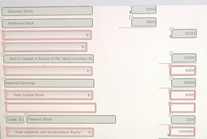 COMPANY Partial Balance Sheet December 31, 2022 (in millions) Stockholders' Equity 8255