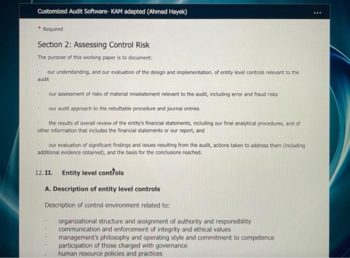  Customized Audit Software- KAM adapted (Ahmad Hayek) * Required Section 2:
