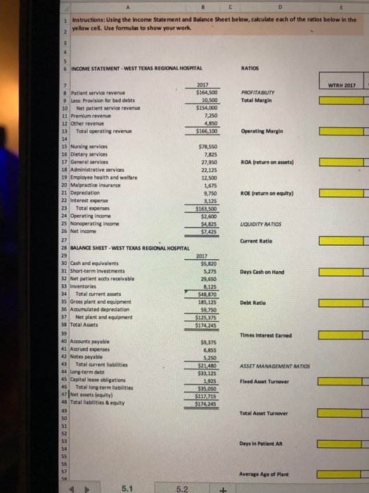  Instructions: Using the Income Statement and Balance Sheet below, calculate each