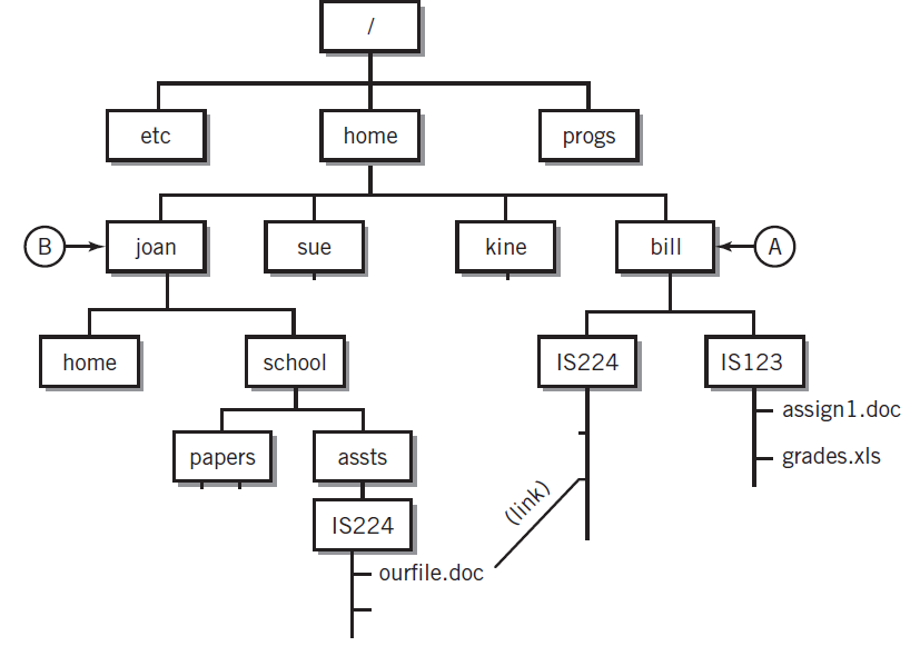 [Solved] You are given the directory tree in Figur | SolutionInn