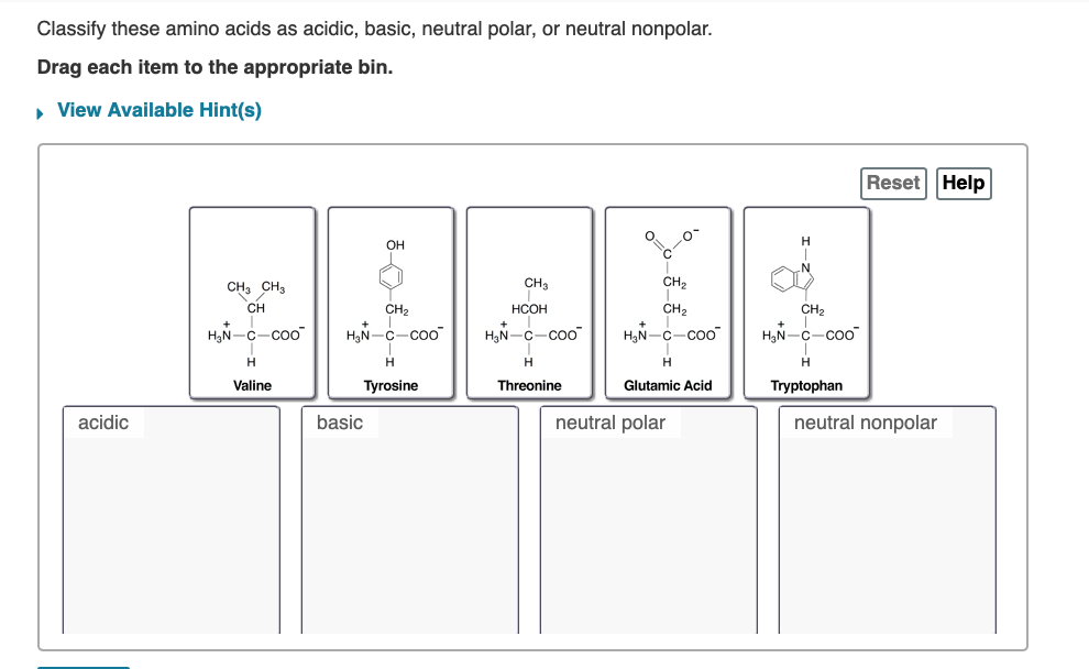 [Solved] Classify these amino acids as acidic, bas SolutionInn