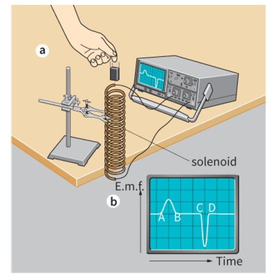 [Solved] A bar dropped into a coil induces SolutionInn