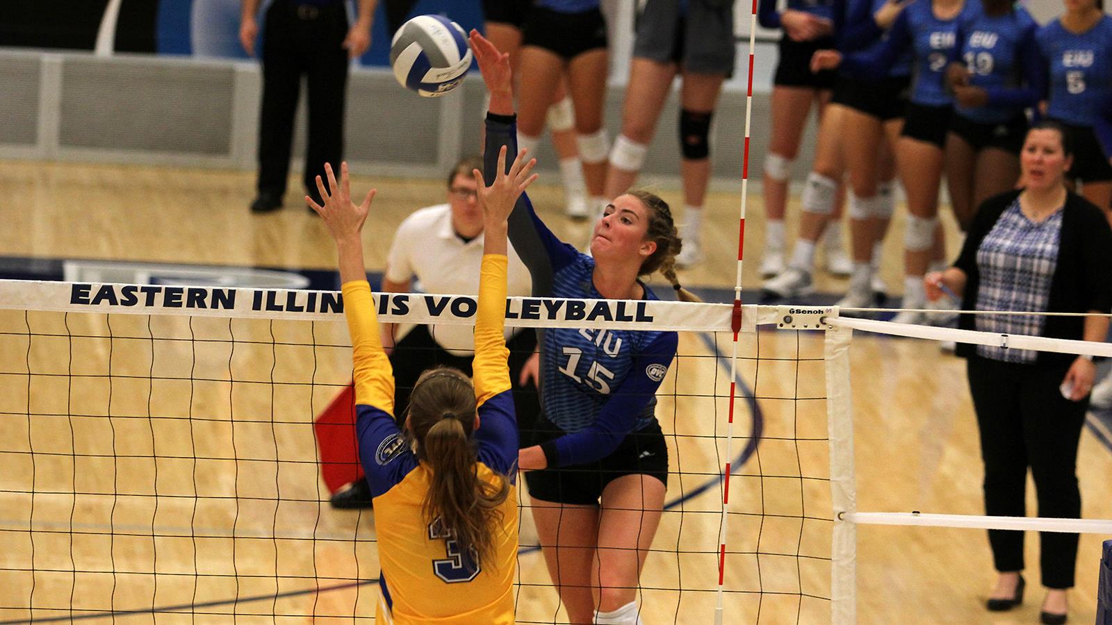 Laurel Bailey Volleyball Eastern Illinois University Athletics