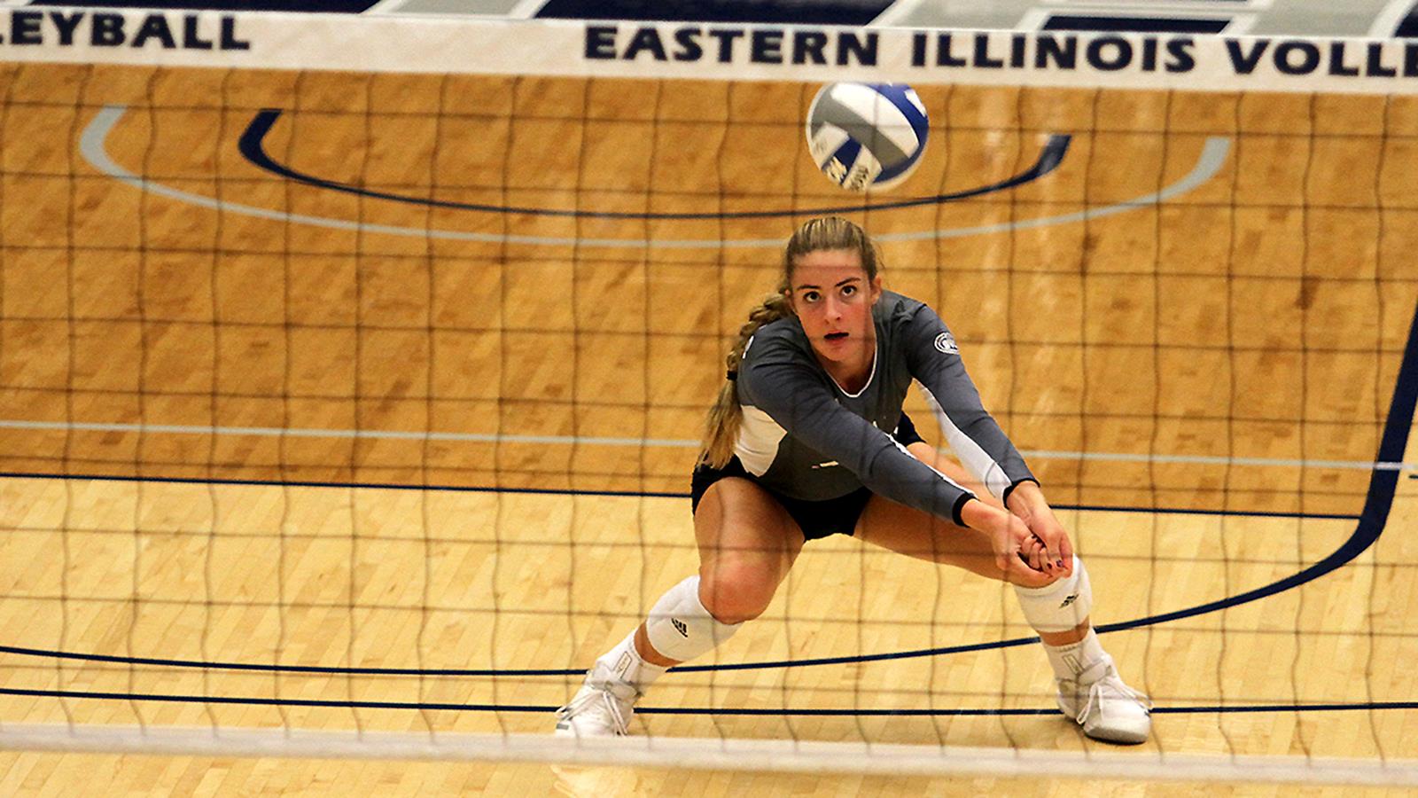 Laurel Bailey Volleyball Eastern Illinois University Athletics