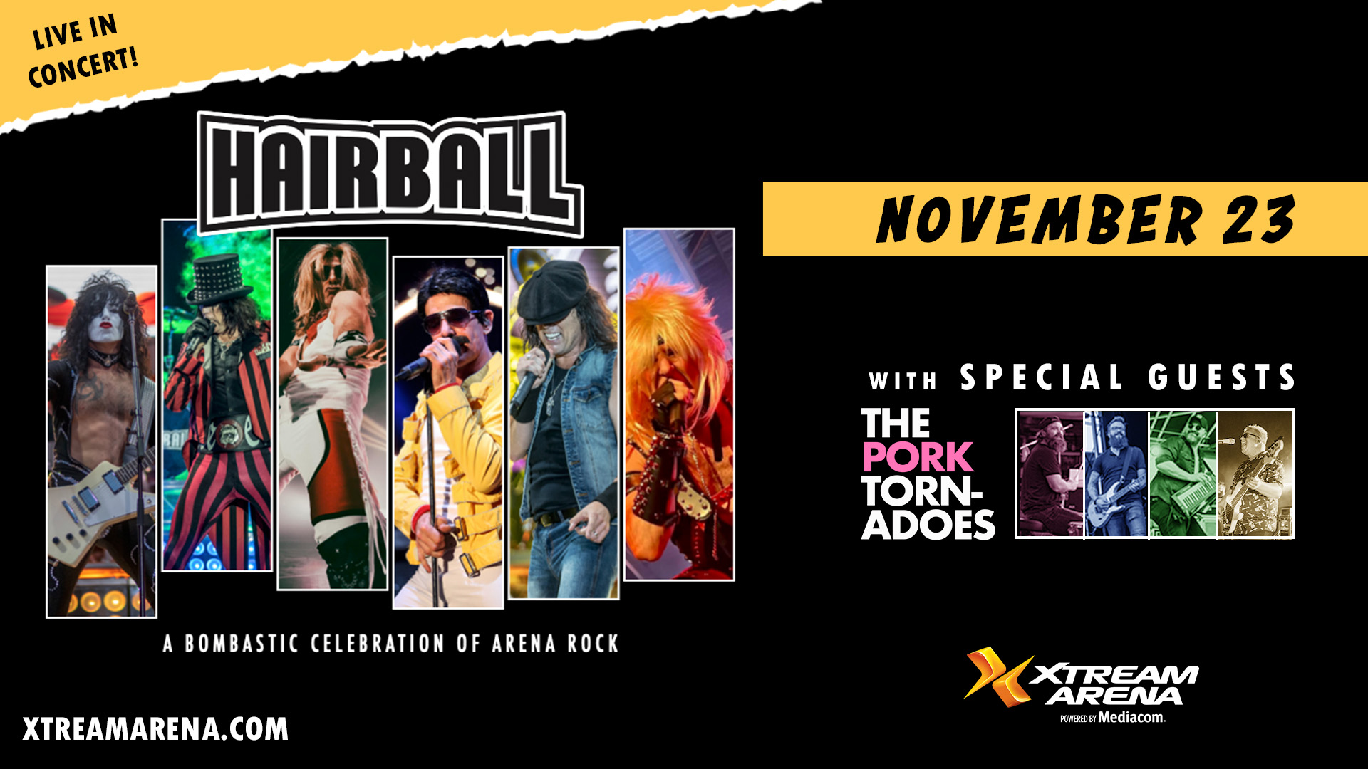 Hairball24_1920x1080