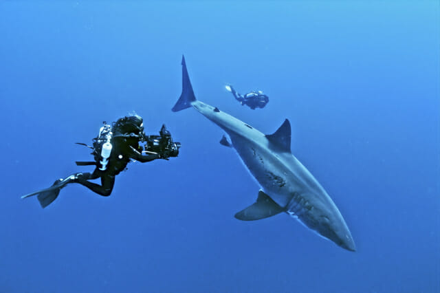 Scuba Diving