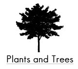 Silhouettes of Plants and Trees