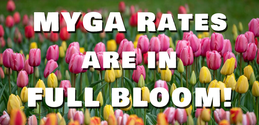 MYGAratesBloom.jpg