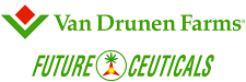 Logo-4.png