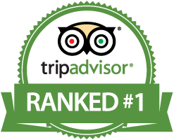 trip_advisor_logo.png