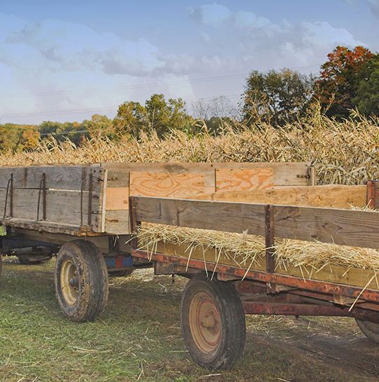 hayride.jpg