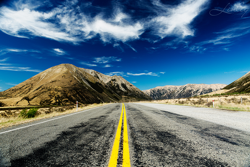 Linley Photography_©_NZ_164.jpg