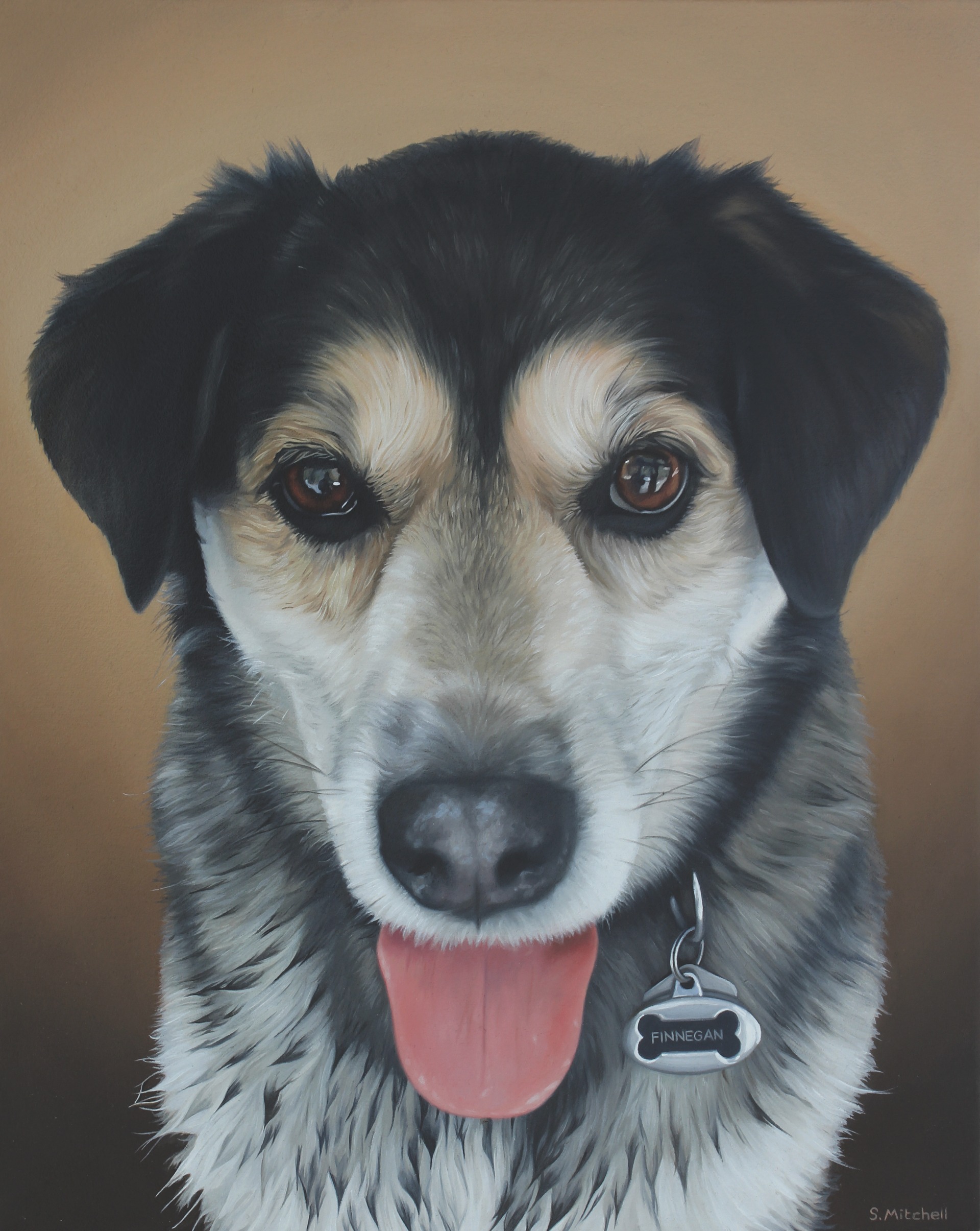 Pet Portraits