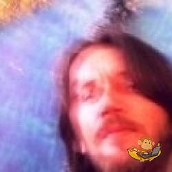 senad p