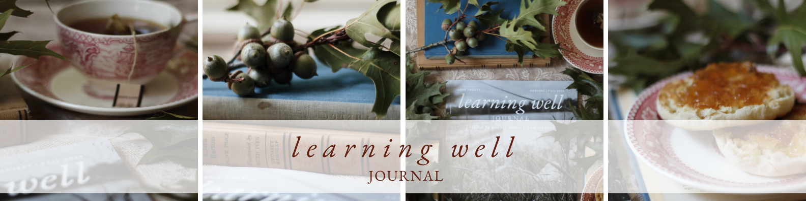 Learning Well Journal masthead