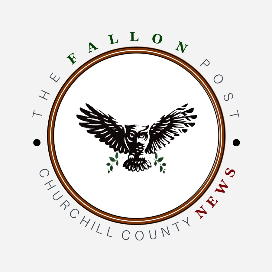The Fallon Post Cover Image