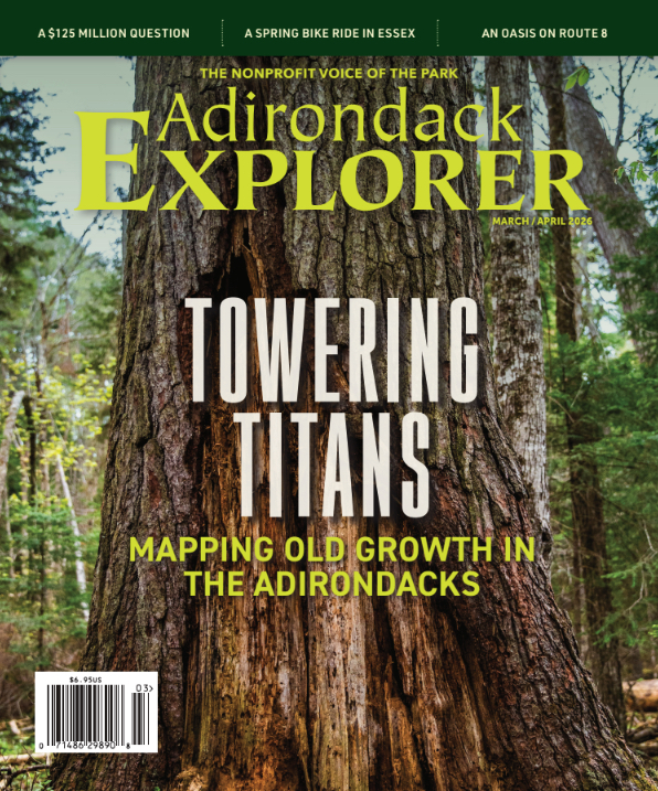 Adirondack Explorer