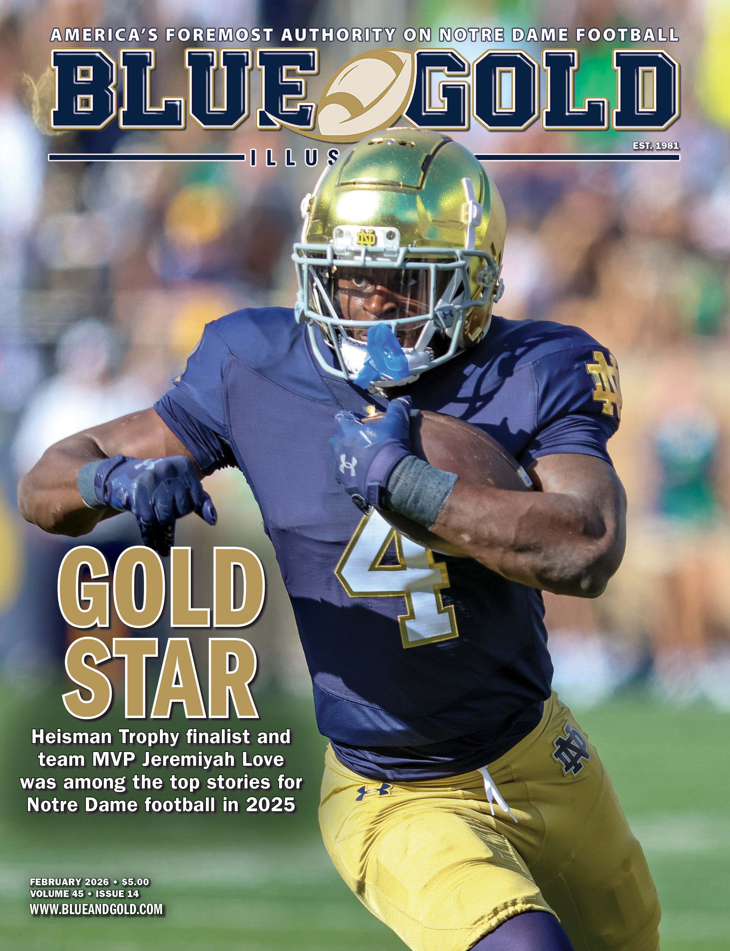 Blue & Gold Illustrated