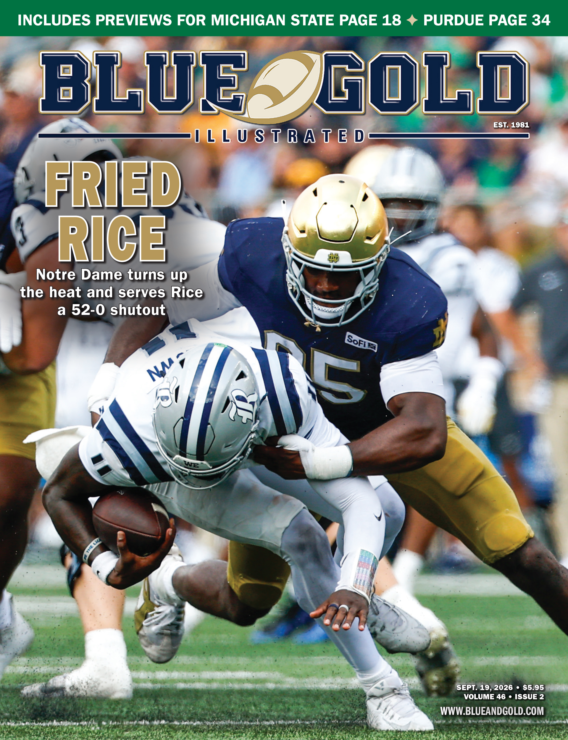 Blue & Gold Illustrated Cover Image