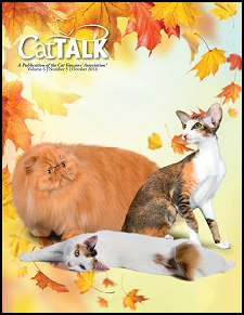 Cat Talk