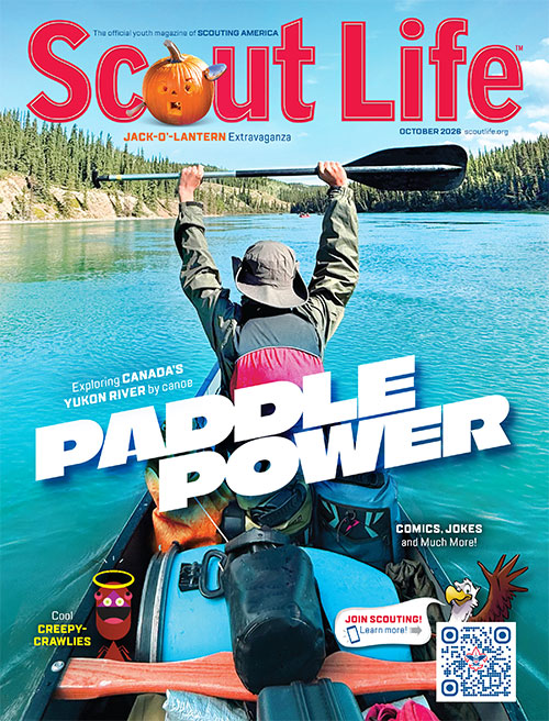 Scout Life Cover Image