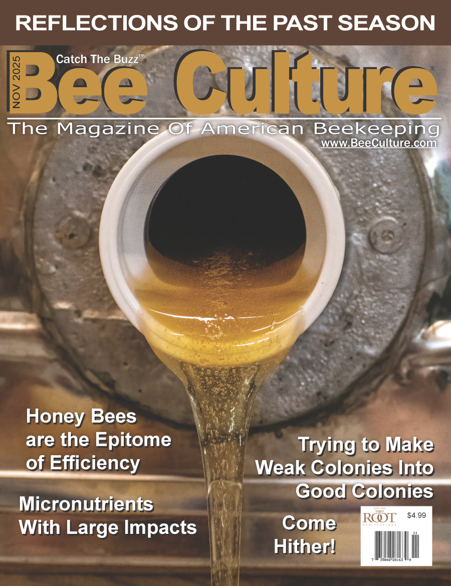 Bee Culture