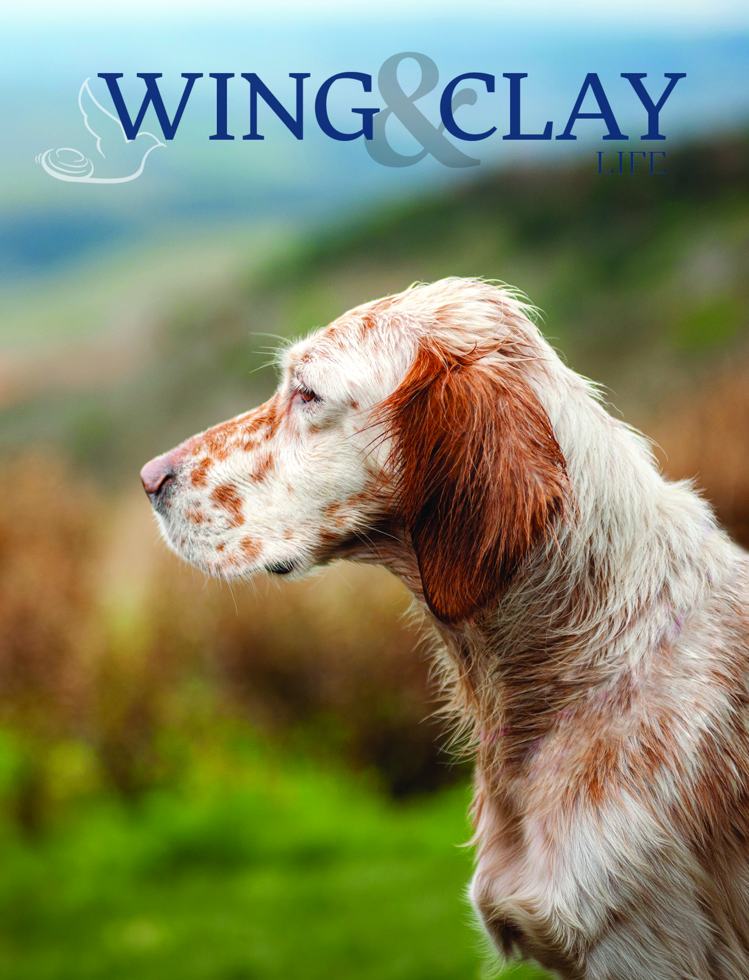 Wing & Clay Life Cover Image