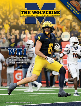 The Wolverine Cover Image