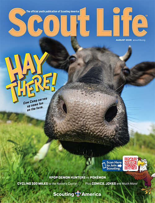 Scout Life Cover Image