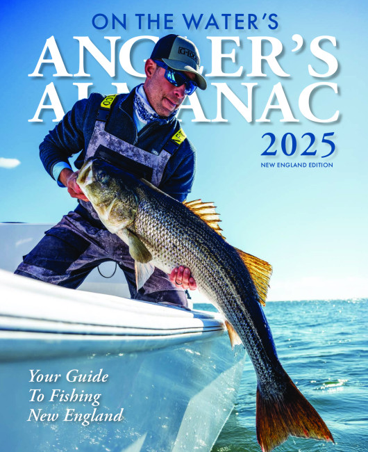 New England Edition - January 2025