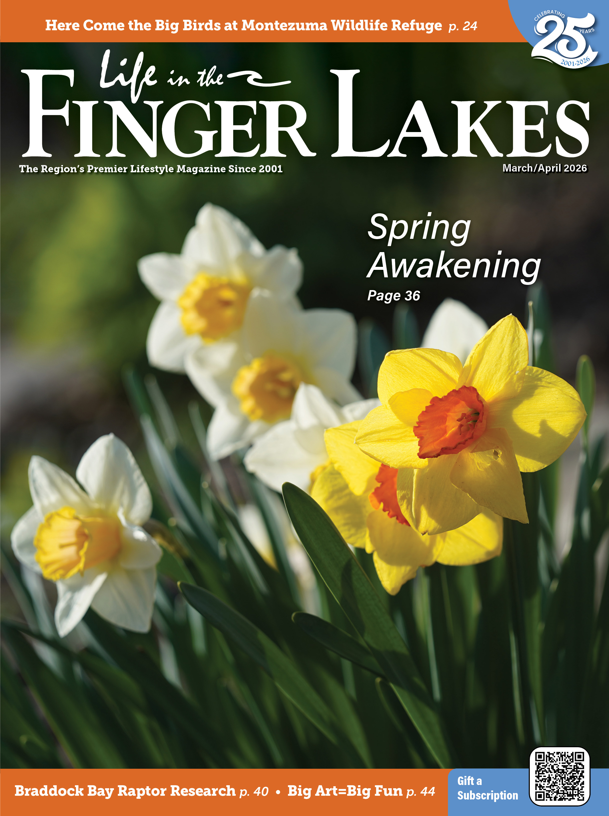 Life in the Finger Lakes