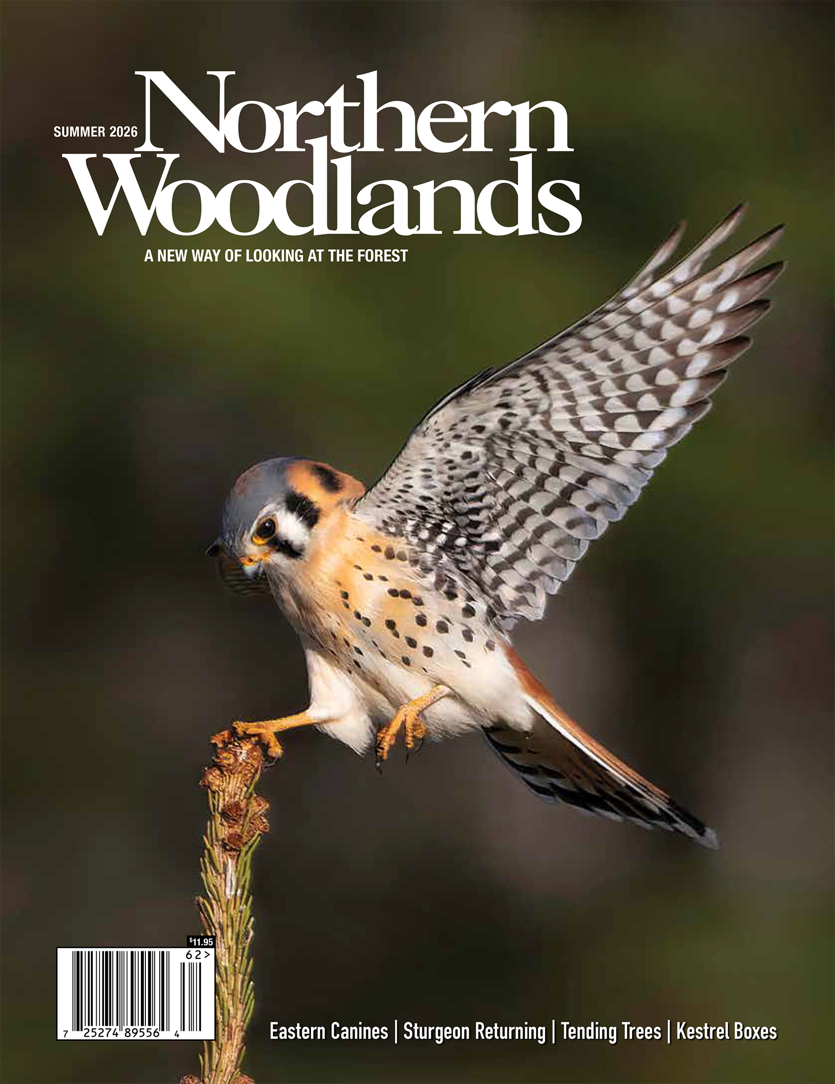 Northern Woodlands Cover Image